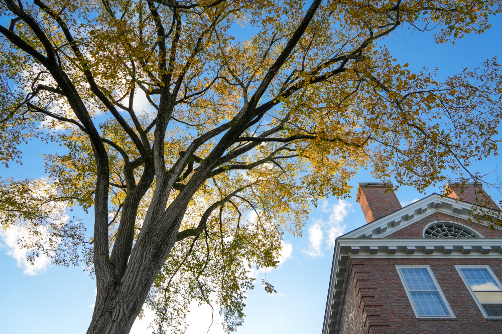 Sanborn Library